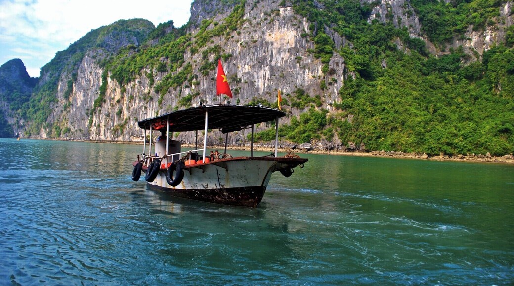 An old boat in Ha Long Bay, Vietnam.
Taken in the beautiful Ha Long Bay, one of my "must-visit" places in our Asia Trip. As expected, it was marvellous! Unfortunately, there were some places in the bay where you can see trash (i.e., floating plastics, debris). To get there, we took a tour operated by Fantasea Cruises (http://halongfantaseacruise.com/). Our tour guide, Bin, was funny, insightful and informative. The tour includes a trip to the Sung Sot Cave (aka Surprising Cave), Monkey Island, kayaking, all meals, and a one-night stay in the boat. It was pretty cheap too!
#halongbay #vietnam #southeastasia #asia #travel #wanderlust