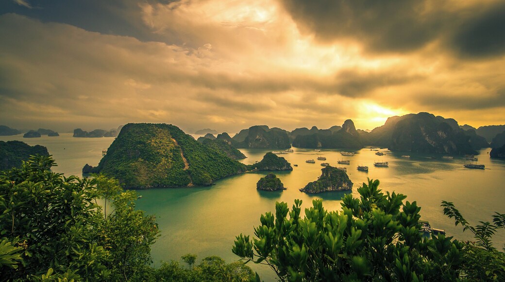 Early morning view from the top of Ti Top island. Around 400 step climb to get to this spot but definitely worth it! #nature