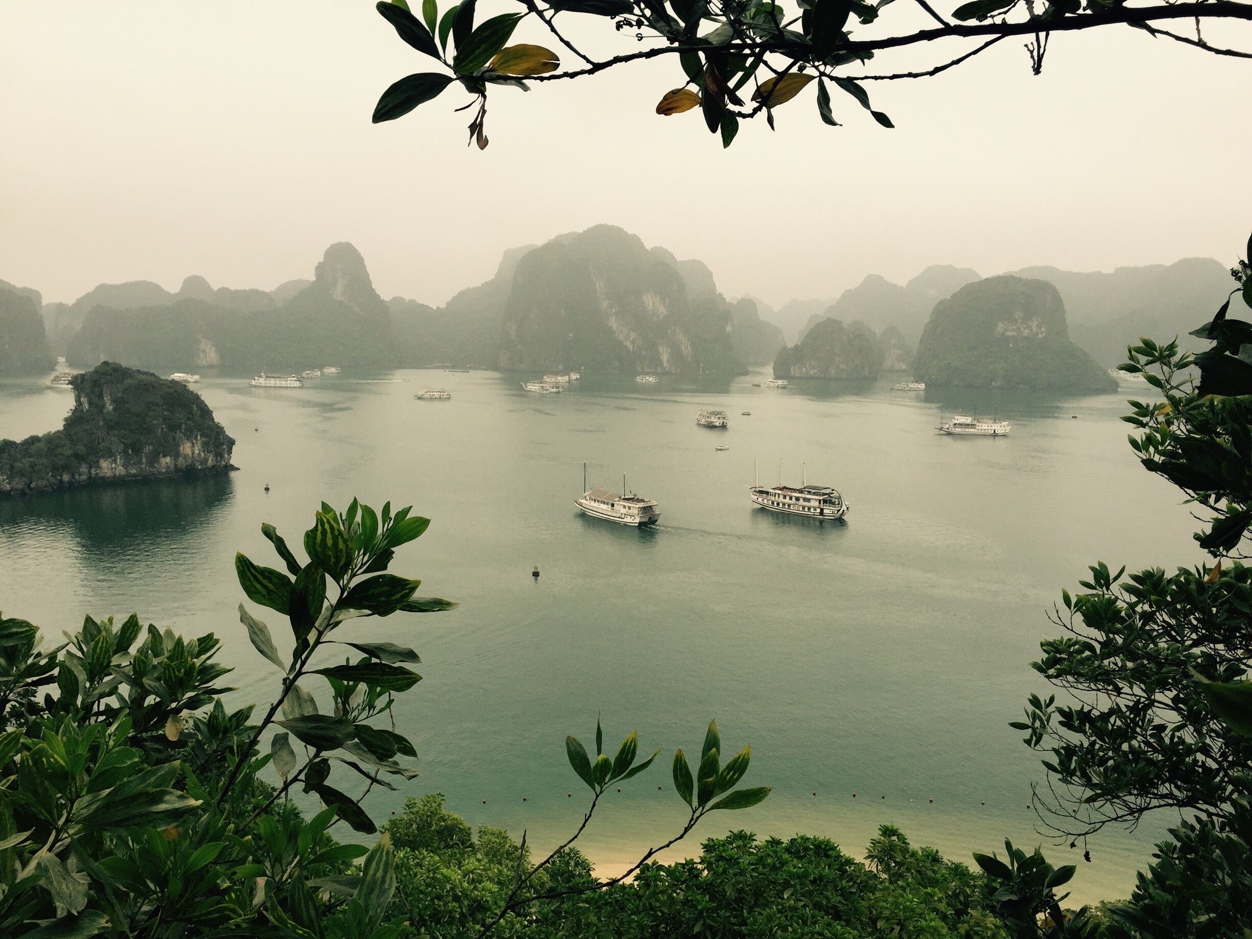 A misty day in Halong Bay. This place is just as magical without the sun! We took a two day junk boat tour with Kangaroo Cafe, I would highly recommend them as we had a fantastic well organised tour. 