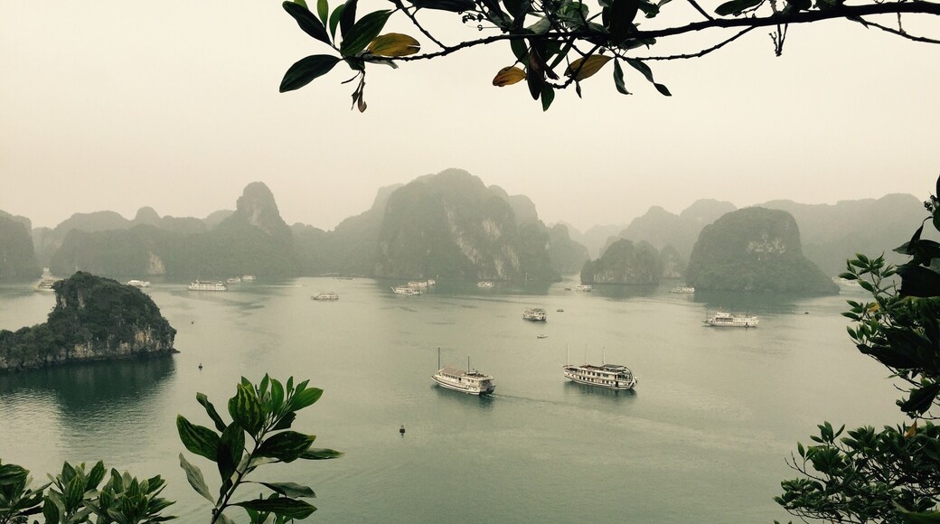 A misty day in Halong Bay. This place is just as magical without the sun! We took a two day junk boat tour with Kangaroo Cafe, I would highly recommend them as we had a fantastic well organised tour.