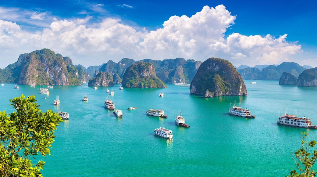 Quang Ninh