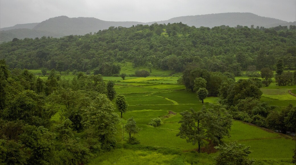 Enroute Madgaon, A view of the green landscape from the Netravati Express.