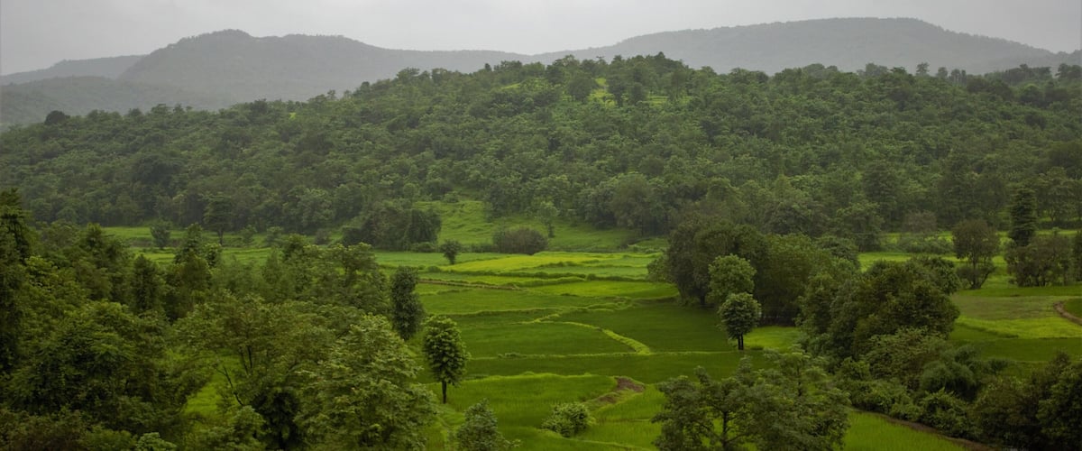 A lush green landscape with terraced fields and dense forested hills.