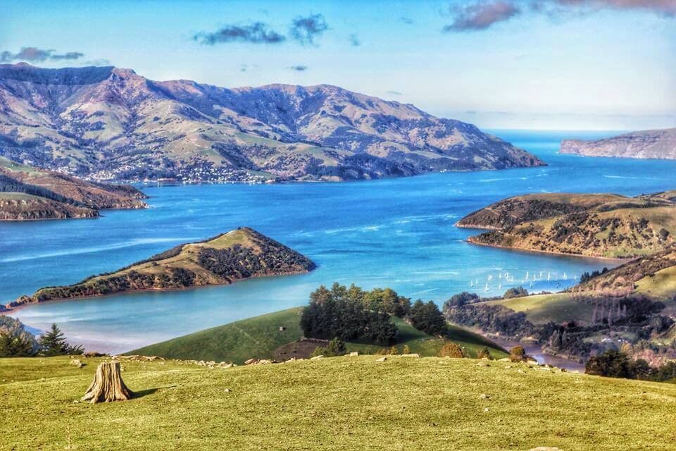 If you visit Akaroa, be sure to take the tourist drive over the mountains towards Lyttelton and Christchurch. Insane road but just stunning scenery and view, and totally worth it