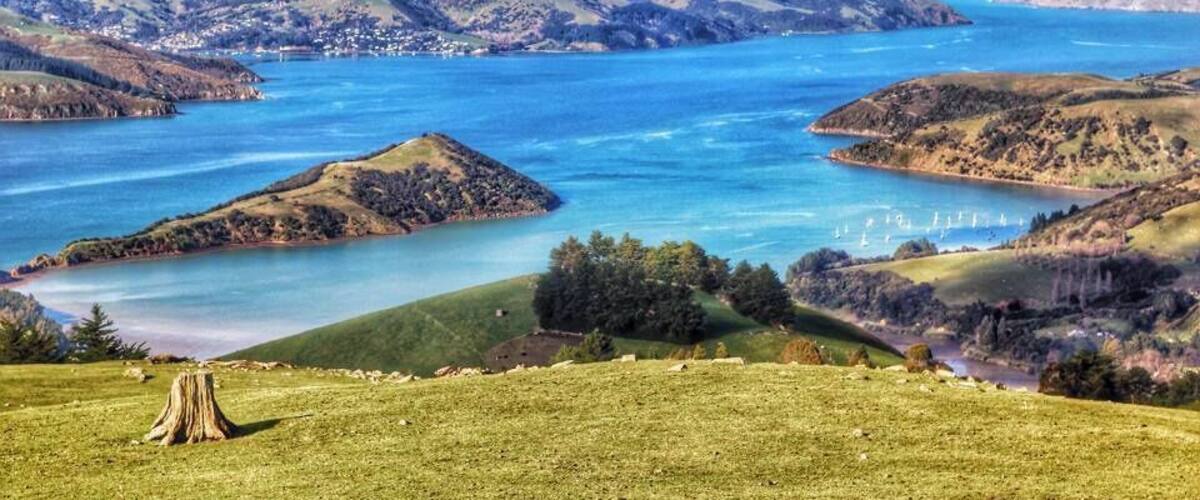 If you visit Akaroa, be sure to take the tourist drive over the mountains towards Lyttelton and Christchurch. Insane road but just stunning scenery and view, and totally worth it