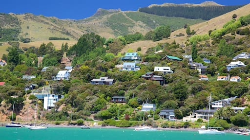 Akaroa showing a coastal town and general coastal views