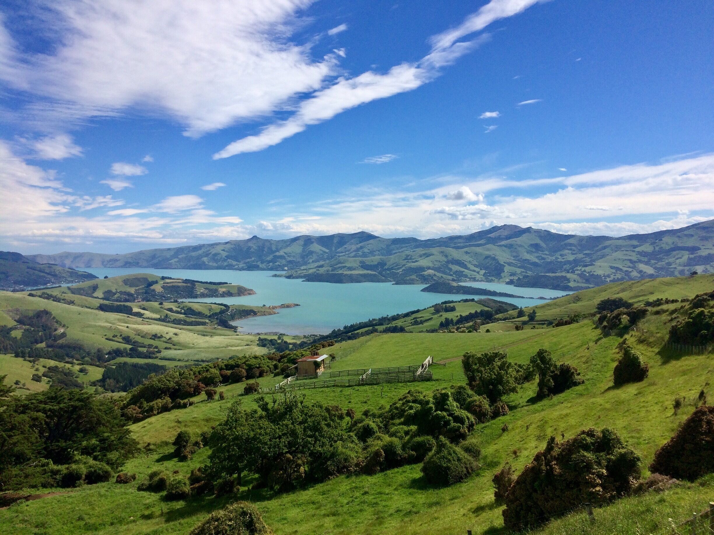 We stopped off at a lovely pub overlooking Robinsons Bay on the way back to Christchurch from Akaroa. Breathtaking spot for a bite to eat!