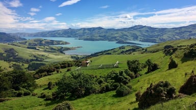 Uma vista panorâmica de um vale com um lago, colinas ondulantes e árvores dispersas.