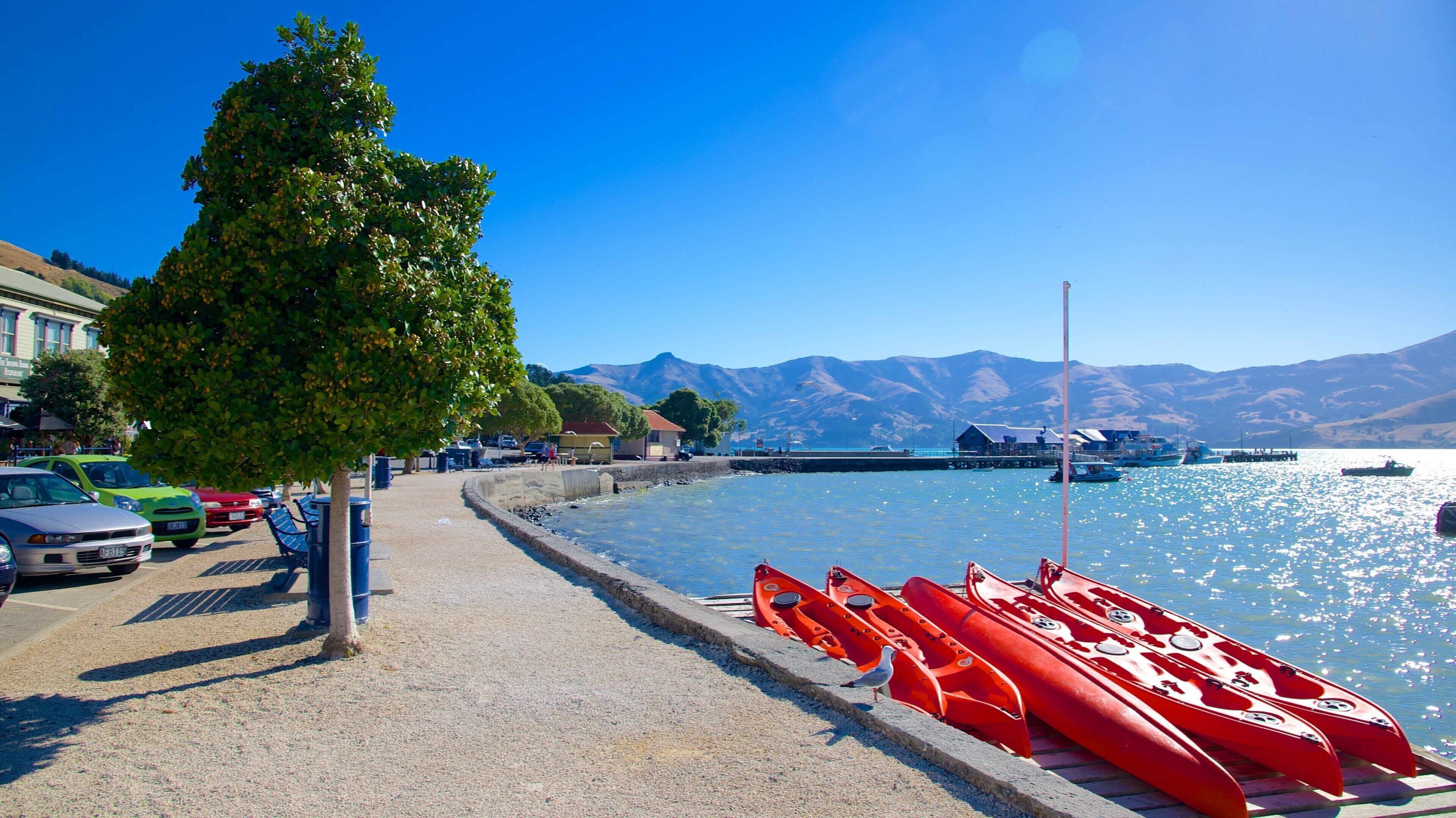 Un paseo marítimo con kayaks rojos amarrados, un sendero arbolado, coches estacionados y embarcaciones en el agua.