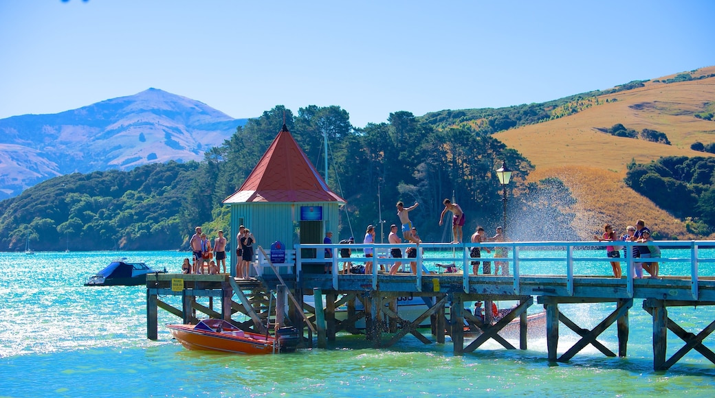 Akaroa das einen allgemeine Küstenansicht und Schwimmen sowie große Menschengruppe