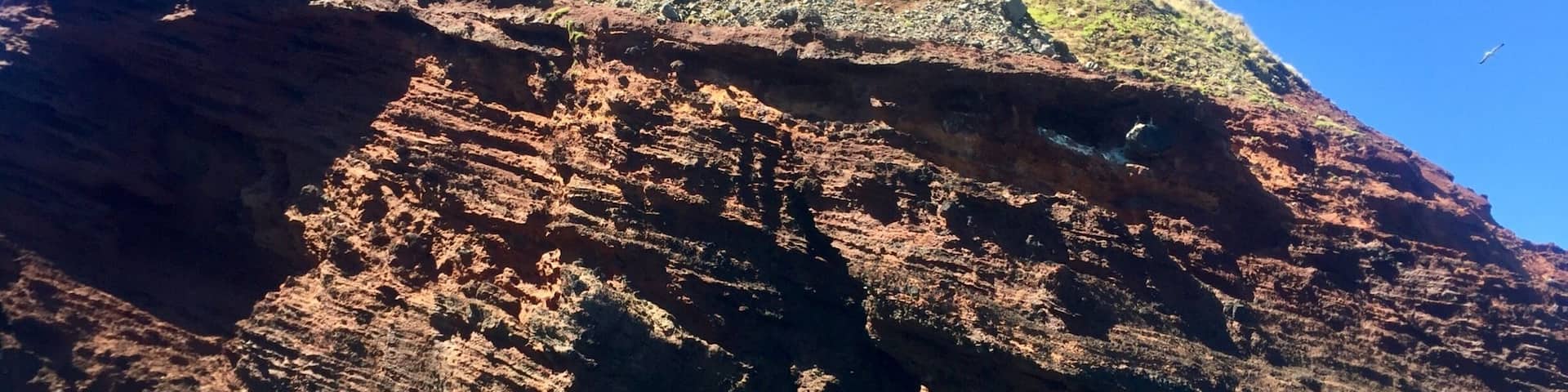 An old volcano along the coast from Akaroa 🌋