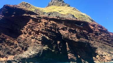 An old volcano along the coast from Akaroa 🌋