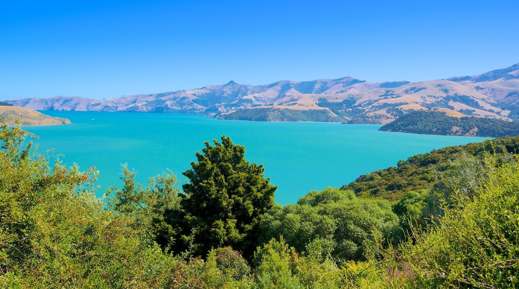 Akaroa mit einem Berge