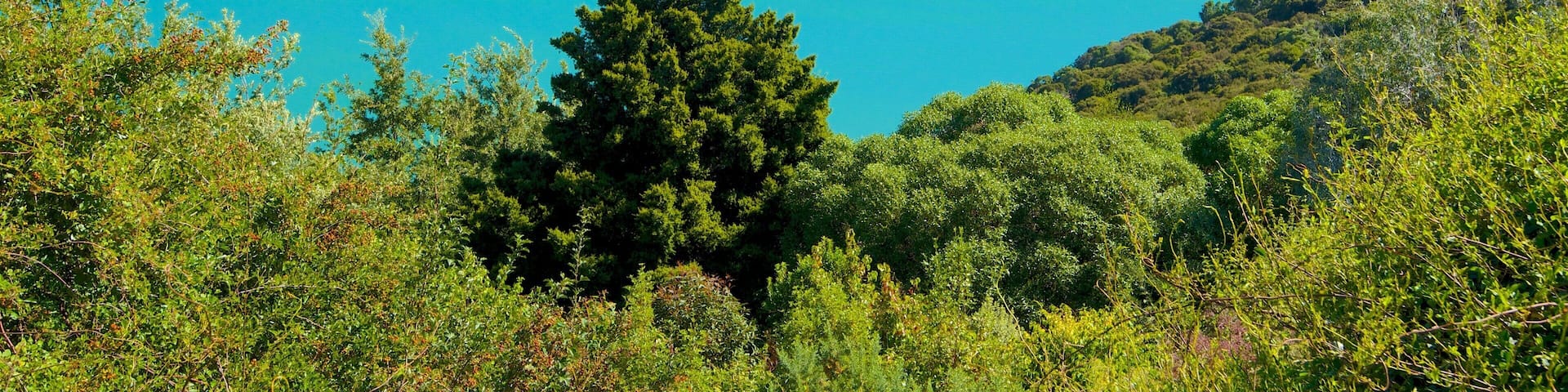 Akaroa which includes mountains
