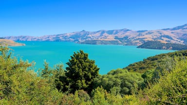 Akaroa which includes mountains