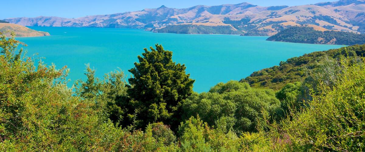 A turquoise lake surrounded by green hills and mountains.
