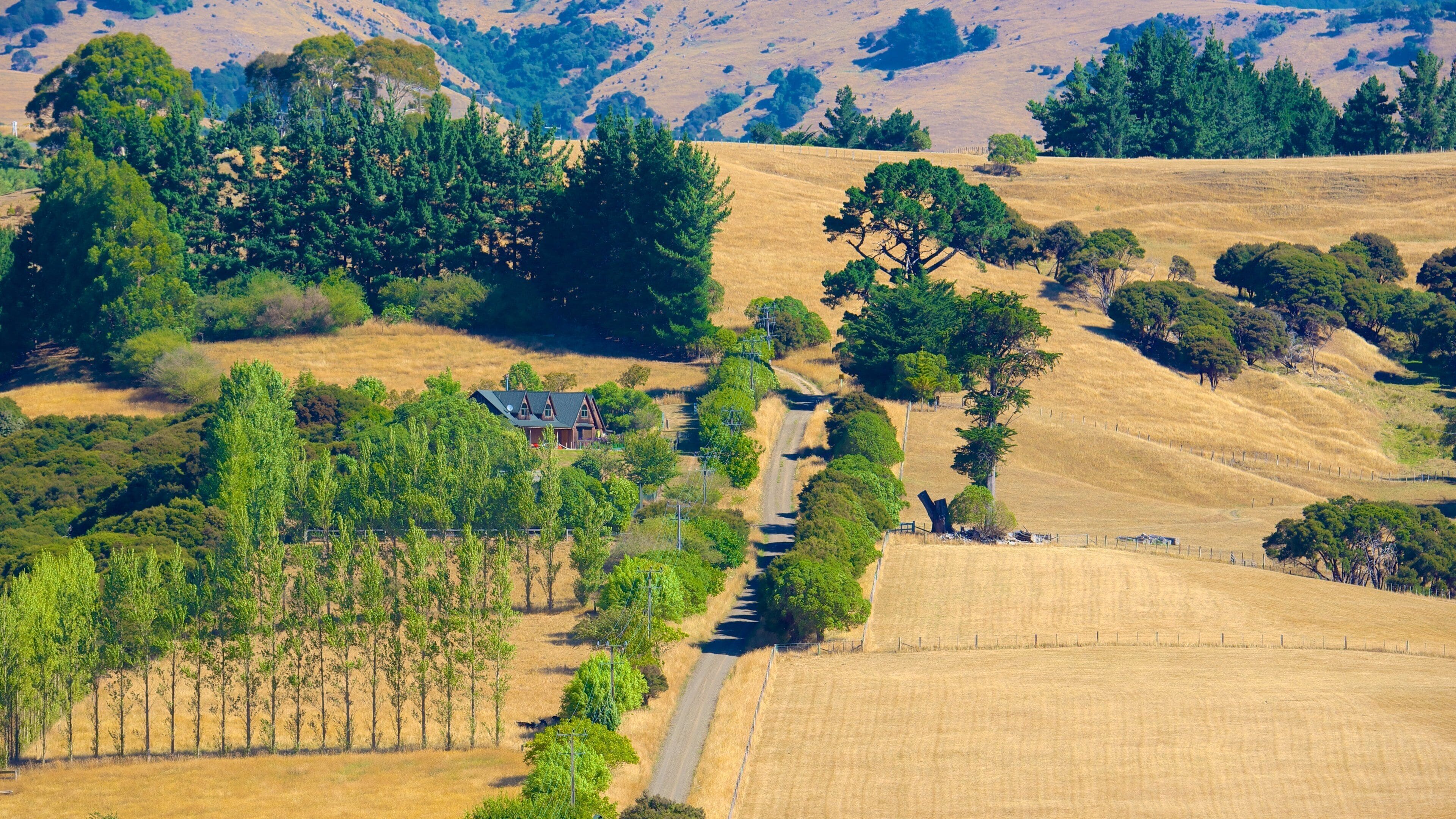 Akaroa showing tranquil scenes