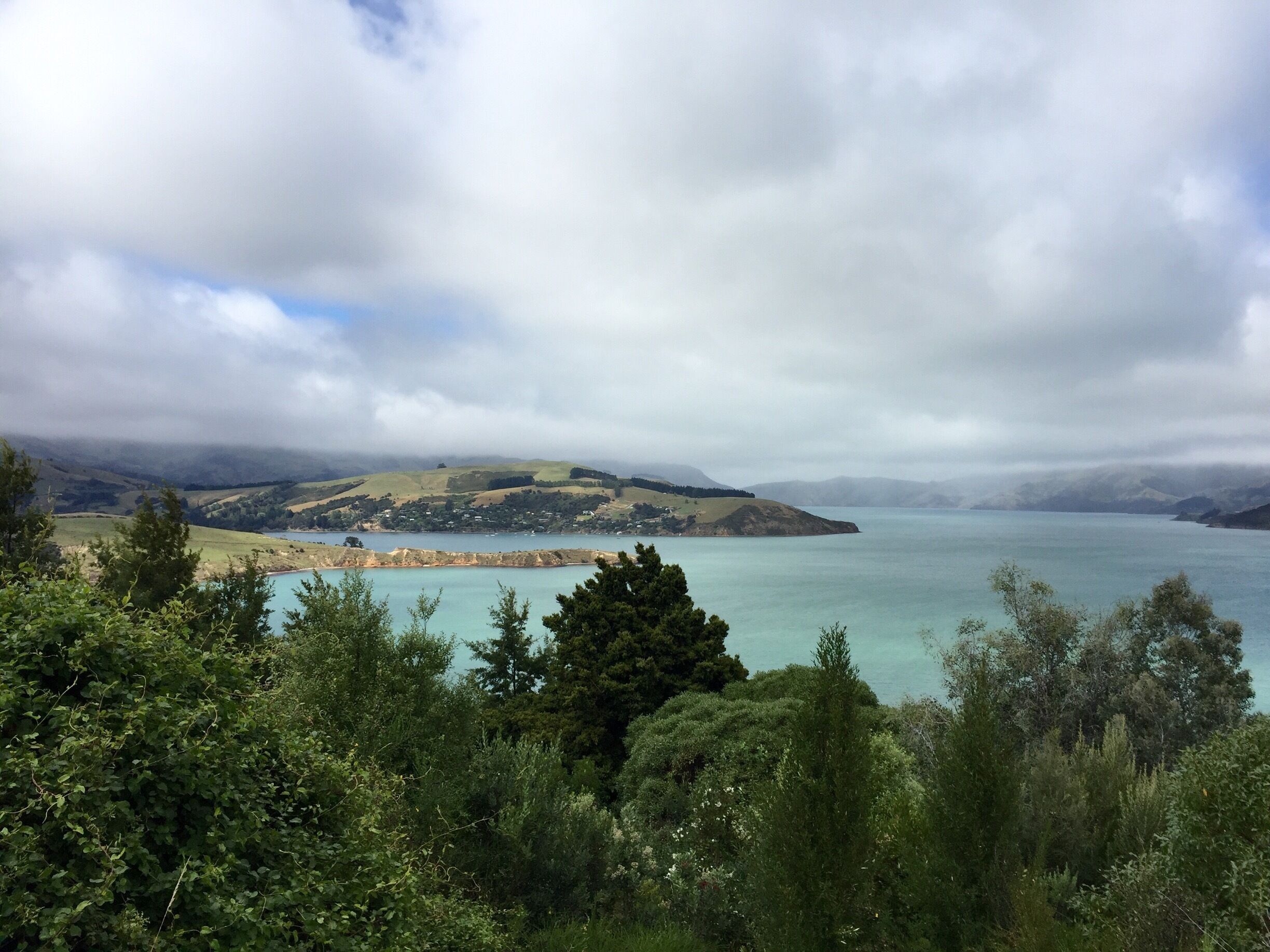 Beautiful views all around driving in/out of Akaroa