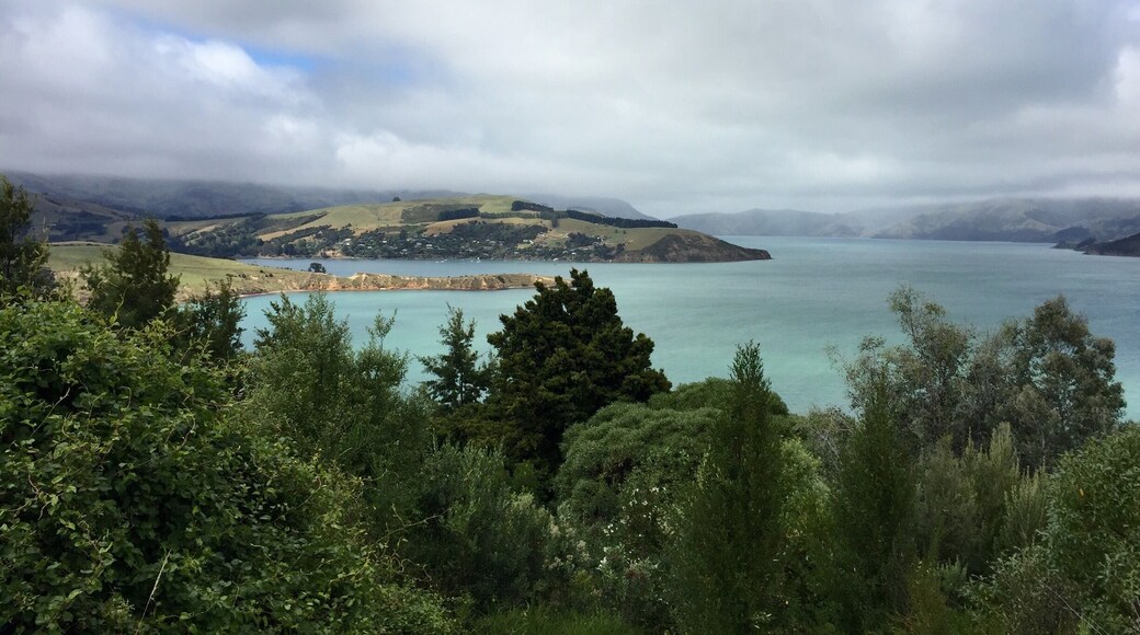 Beautiful views all around driving in/out of Akaroa