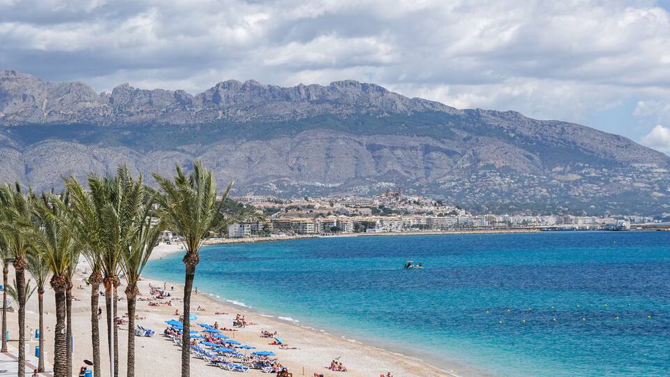 A beach with palm trees, a clear blue sea, and mountains in the background.