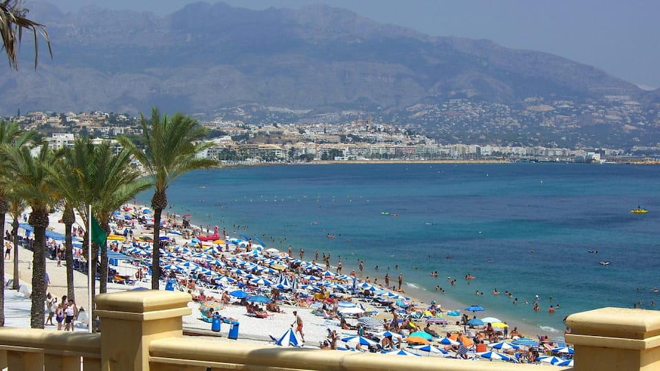 A crowded beach with palm trees and a mountain in the background.