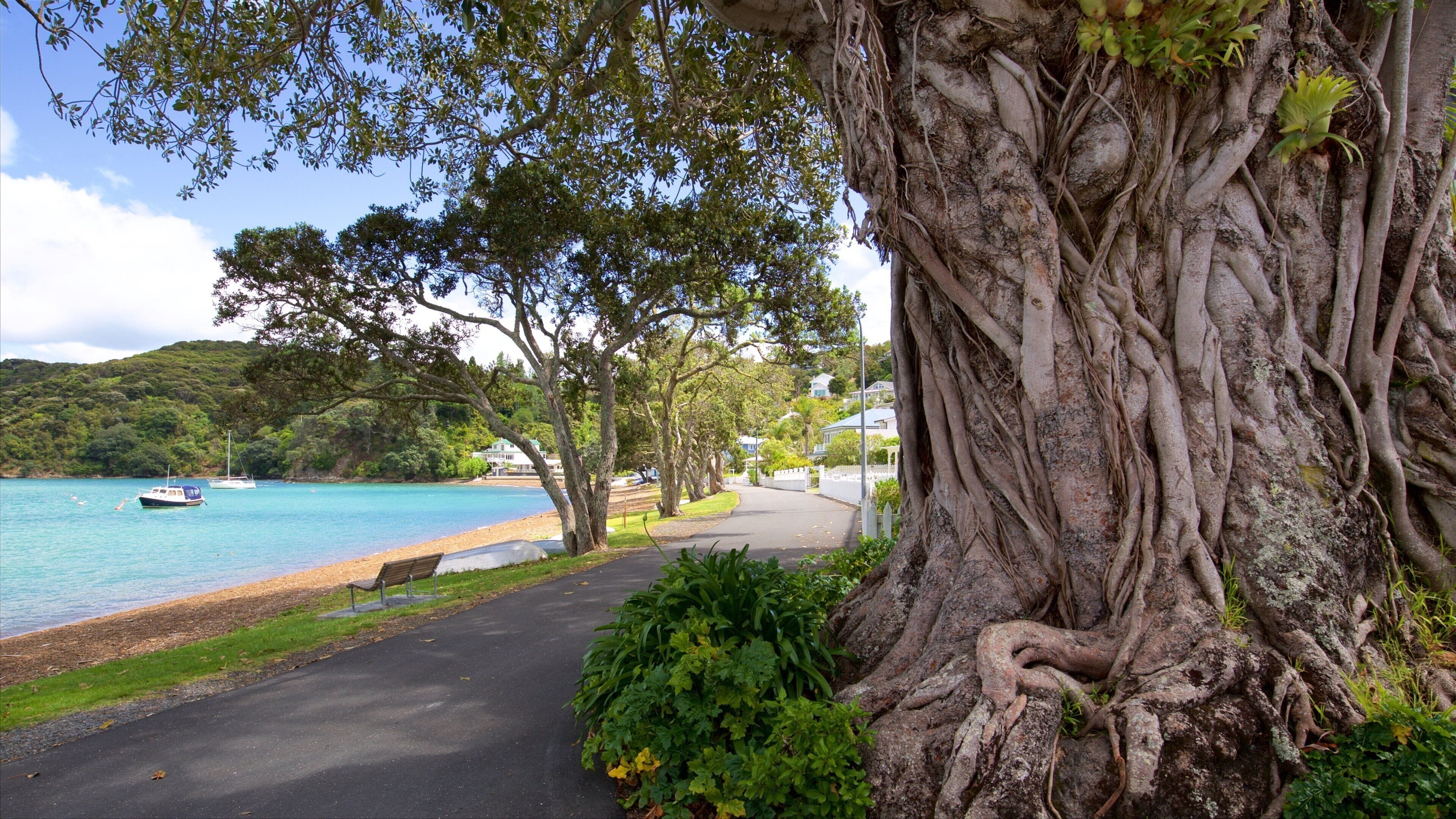 Russell mostrando una bahía o puerto