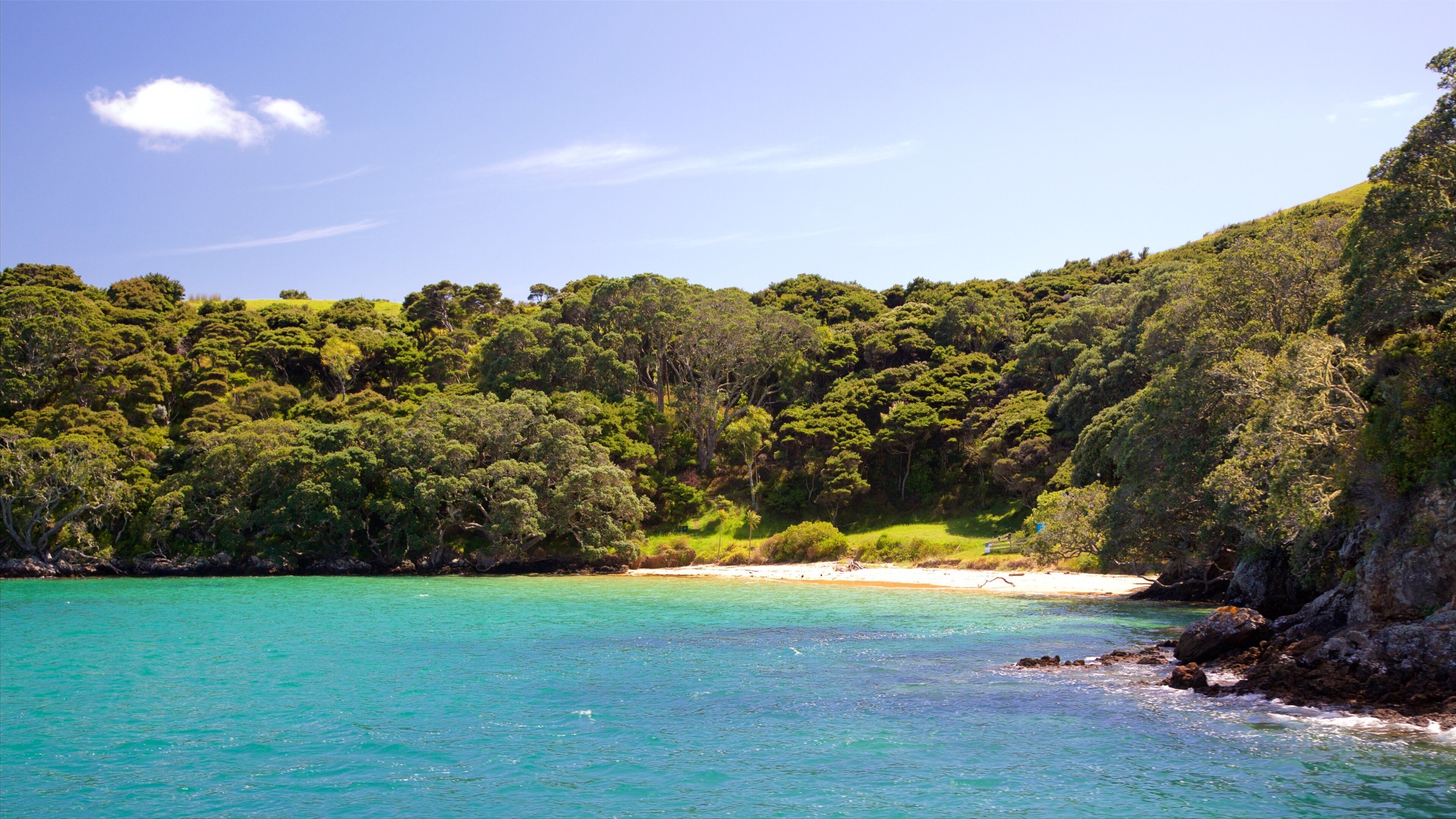 Russell showing a sandy beach, a bay or harbour and forests