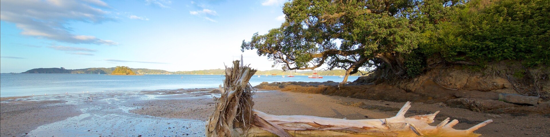 Una playa con un tronco de árbol caído, agua tranquila y colinas distantes.