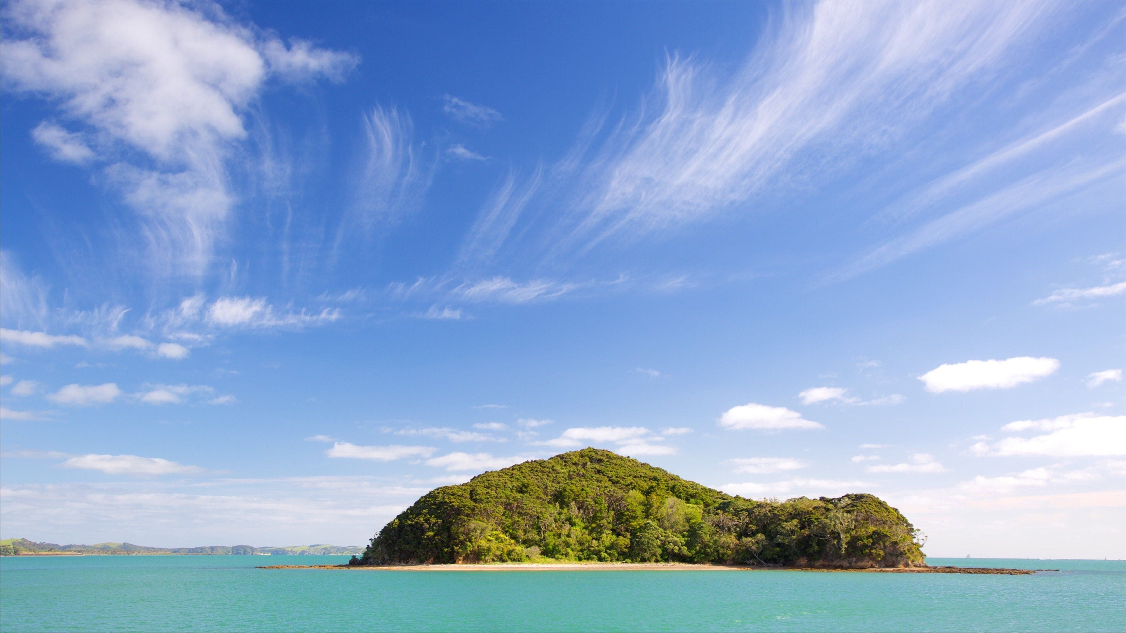 A small island with lush green vegetation surrounded by turquoise waters.