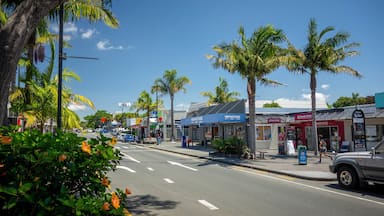 Kerikeri showing a small town or village