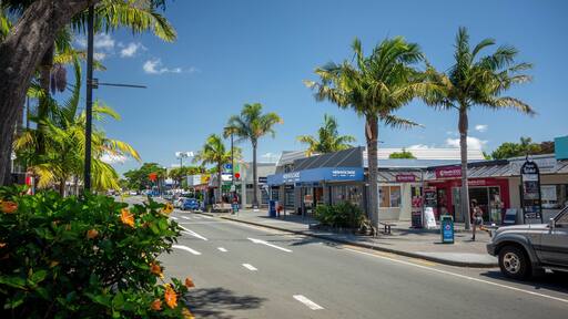 Kerikeri showing a small town or village