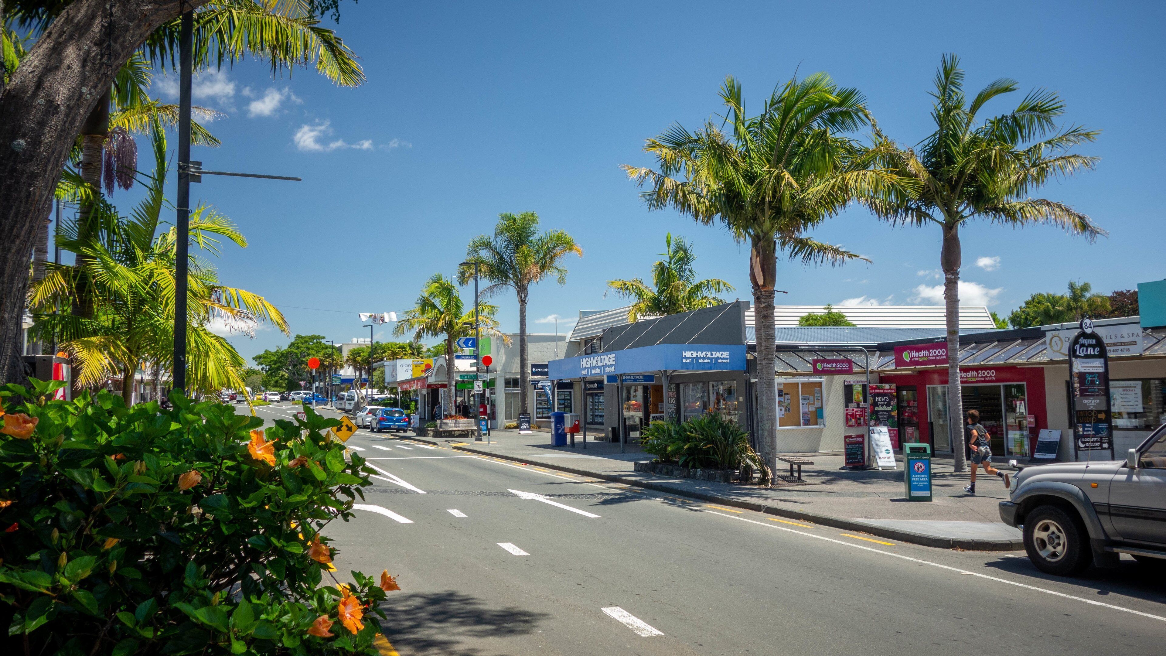 A street lined with palm trees and various shops, including a health spa and a surf shop.