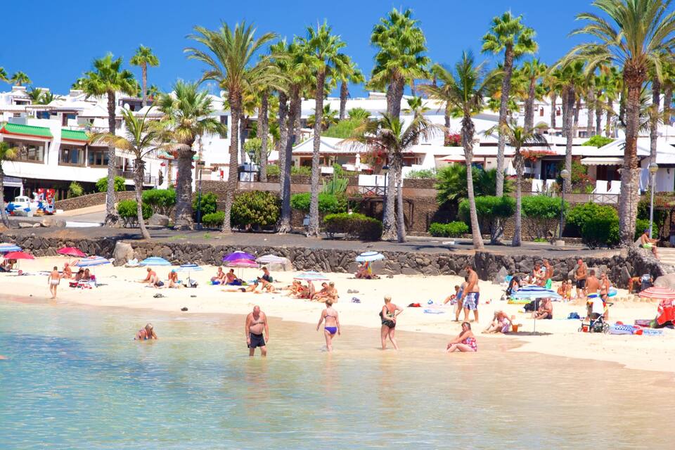 A sunny beach with palm trees, people sunbathing, and a clear blue sky.