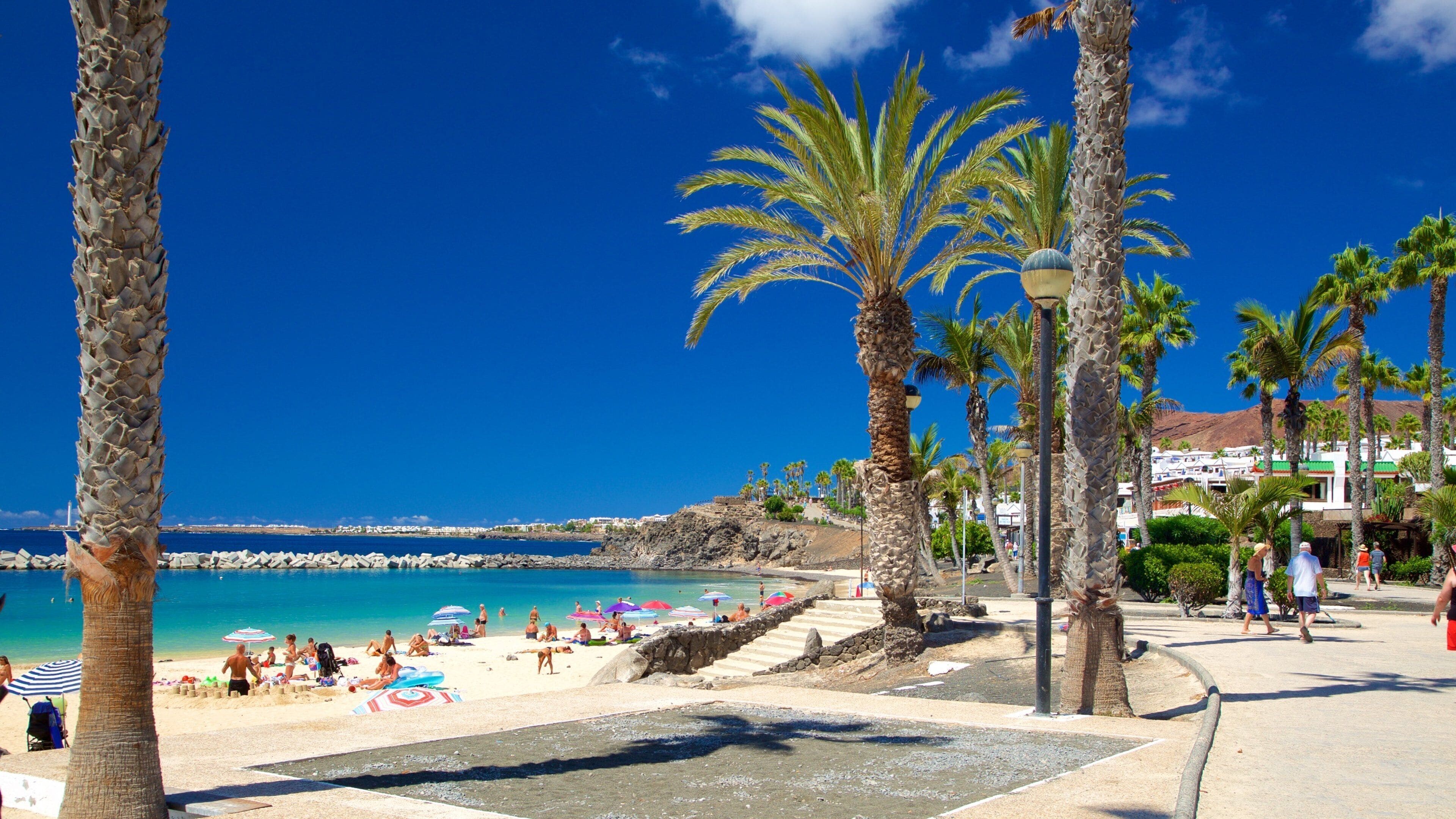 Una playa soleada con palmeras, cielo azul despejado y un litoral rocoso.