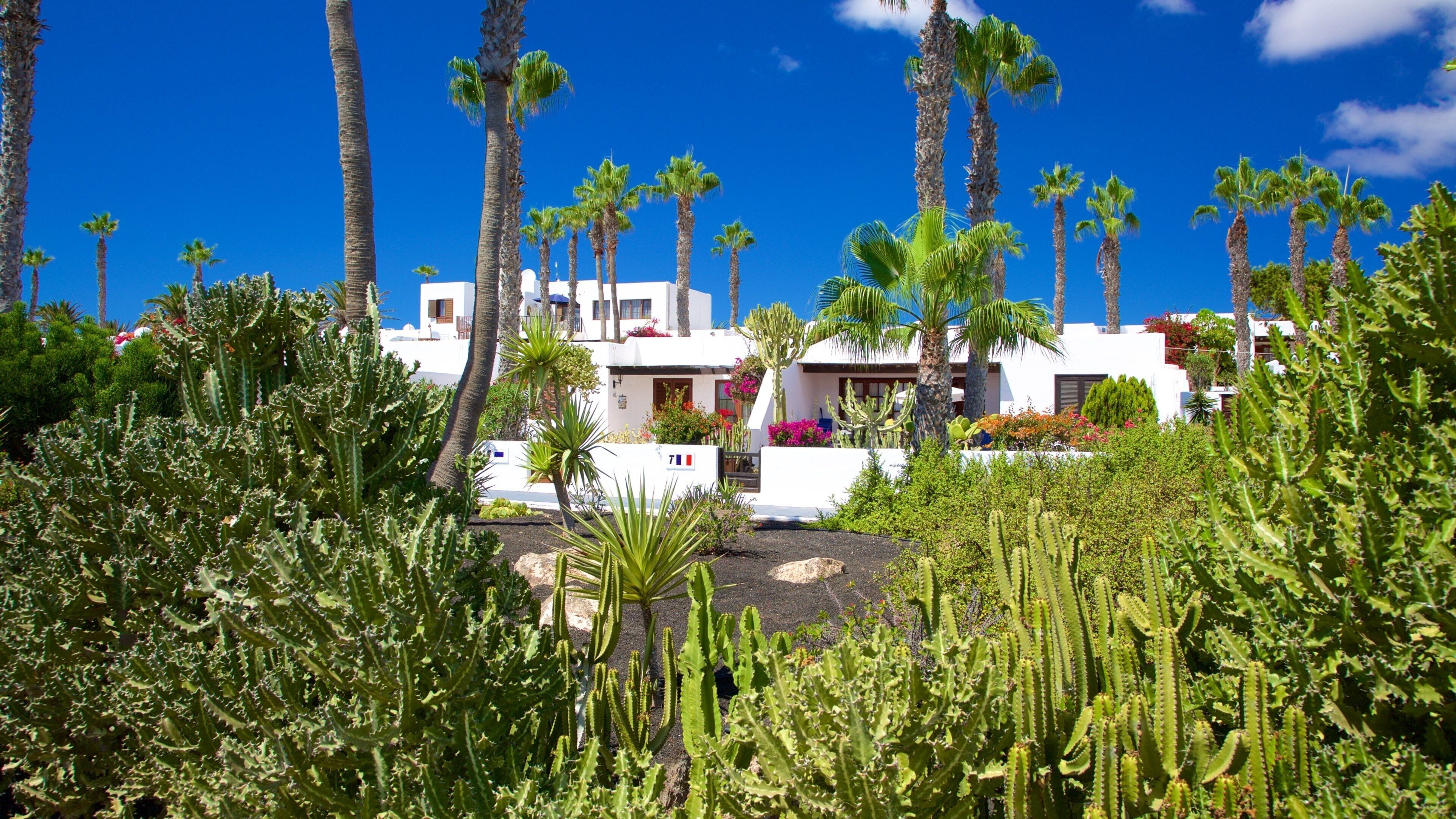Playa Blanca which includes a house and a park