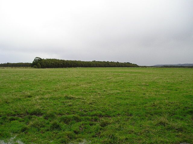 Linwoodmoss Wood. Woodland area at the western edge of Linwoodmoss.