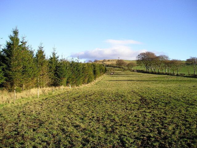 Muirdykes Mount. Muirdykes Mount is the hill on the skyline, viewed across fields at Muirdykes Farm.