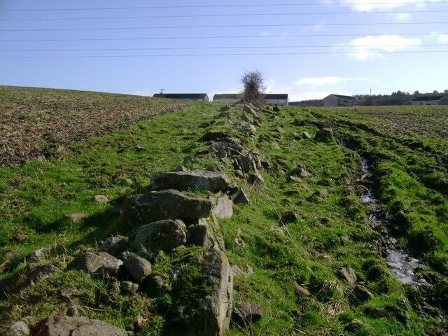 When two fields become one What were once two distinct fields divided by a stone wall seem to have become a single field as the wall has crumbled.
