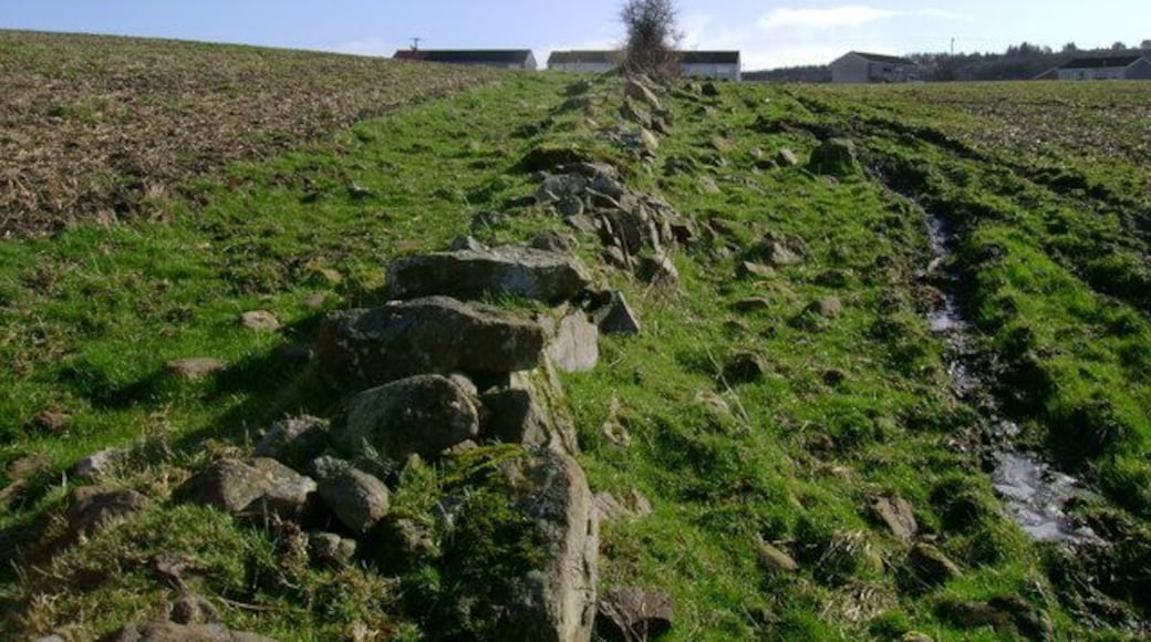 When two fields become one What were once two distinct fields divided by a stone wall seem to have become a single field as the wall has crumbled.