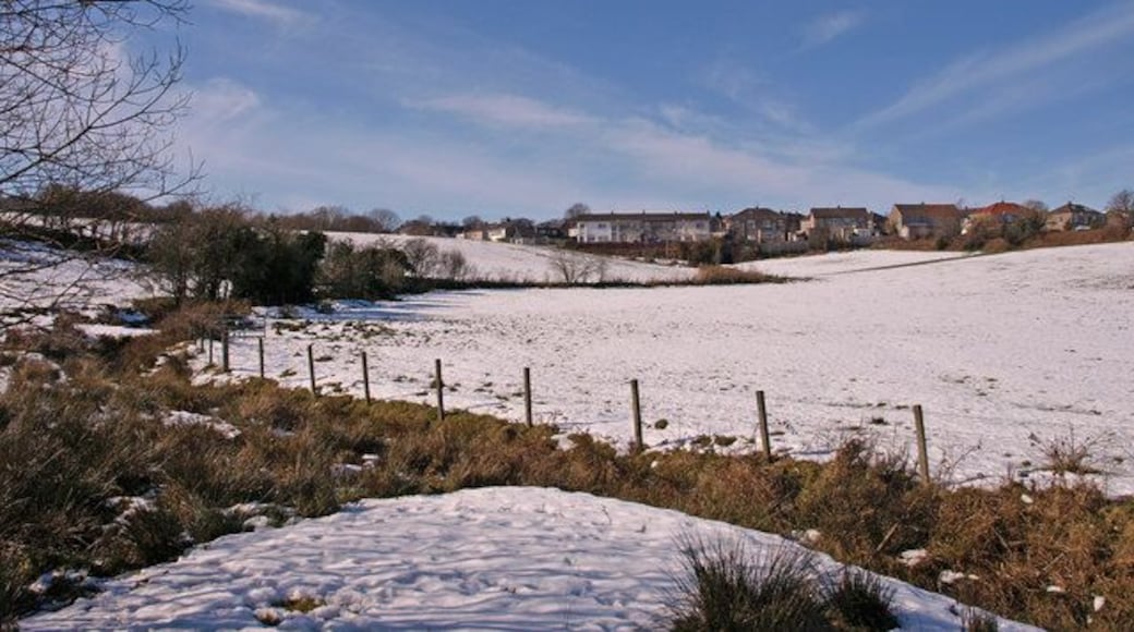 Farmland near Johnston Castle View from Glenpatrick Road.