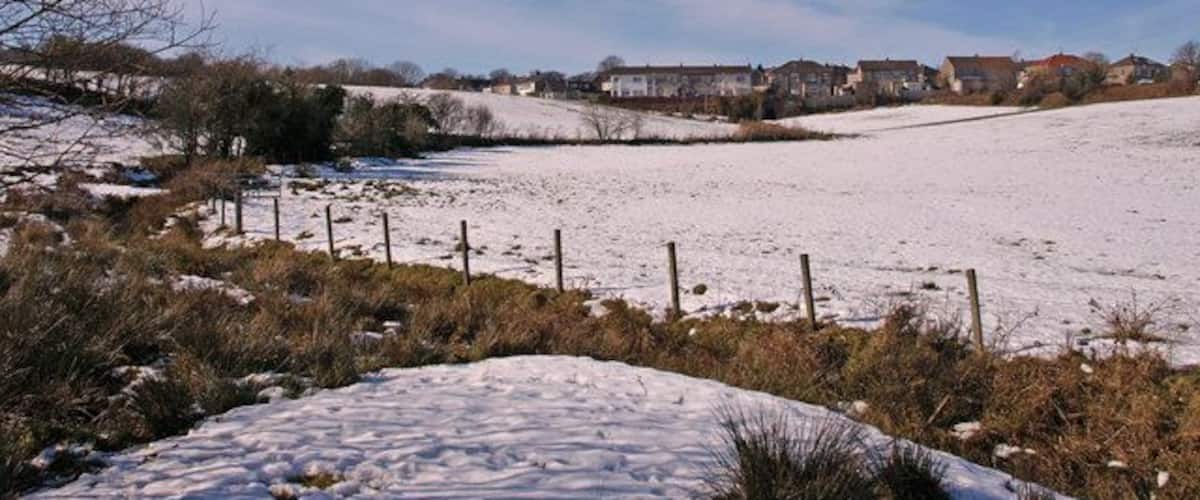 A snow-covered field with a fence, houses in the background, and a clear blue sky.