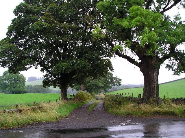 Corsliehill Rd. Looking East from B789
