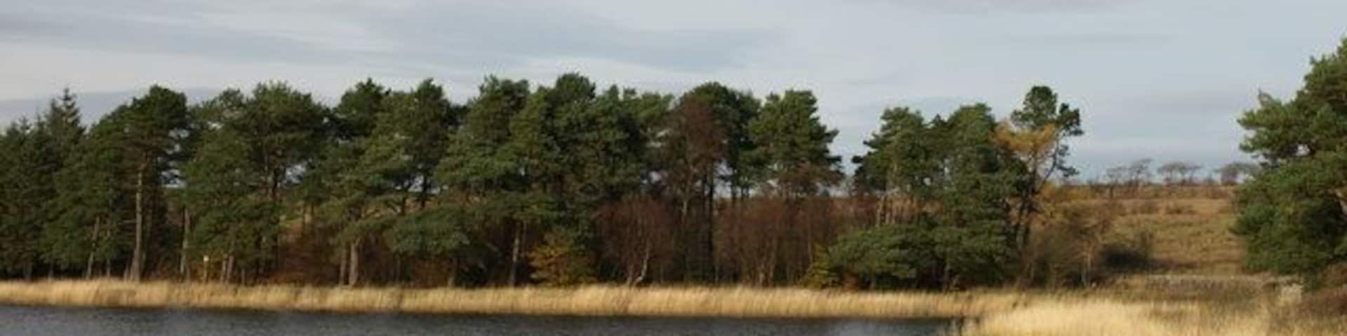 Barcraigs reservoir Eastern Side.