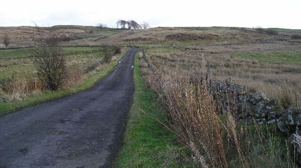 Country Road. Looking East along the road a few yards to the east of the entrance to Howwood Fishery at Bowfield Loch.