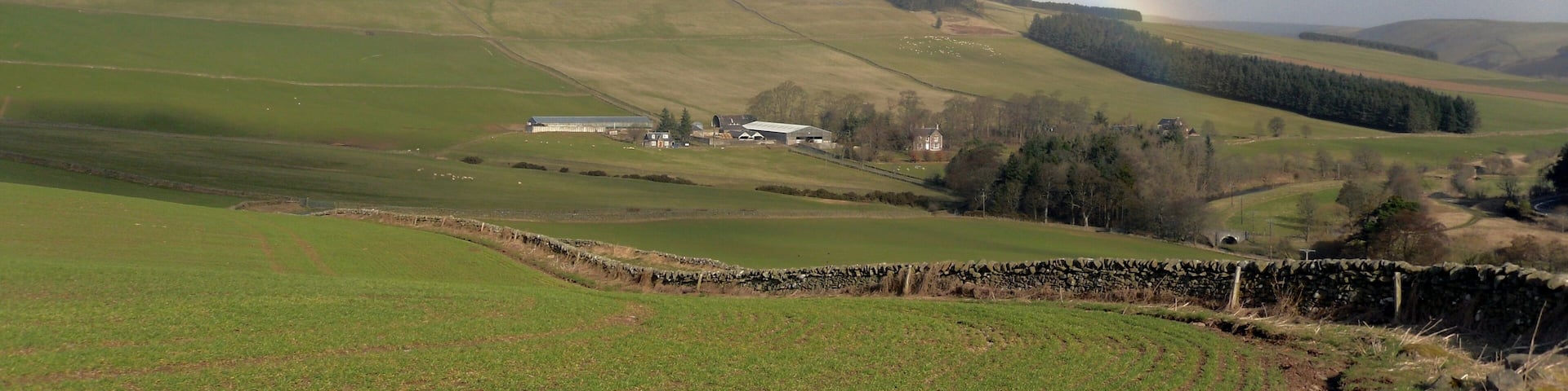 Ferniehirst Farm from Bowshank