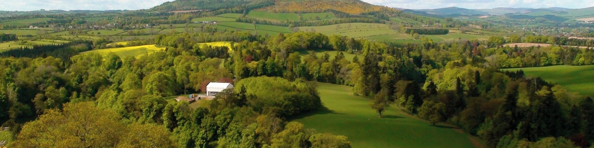 Country side of Scotland, lush green