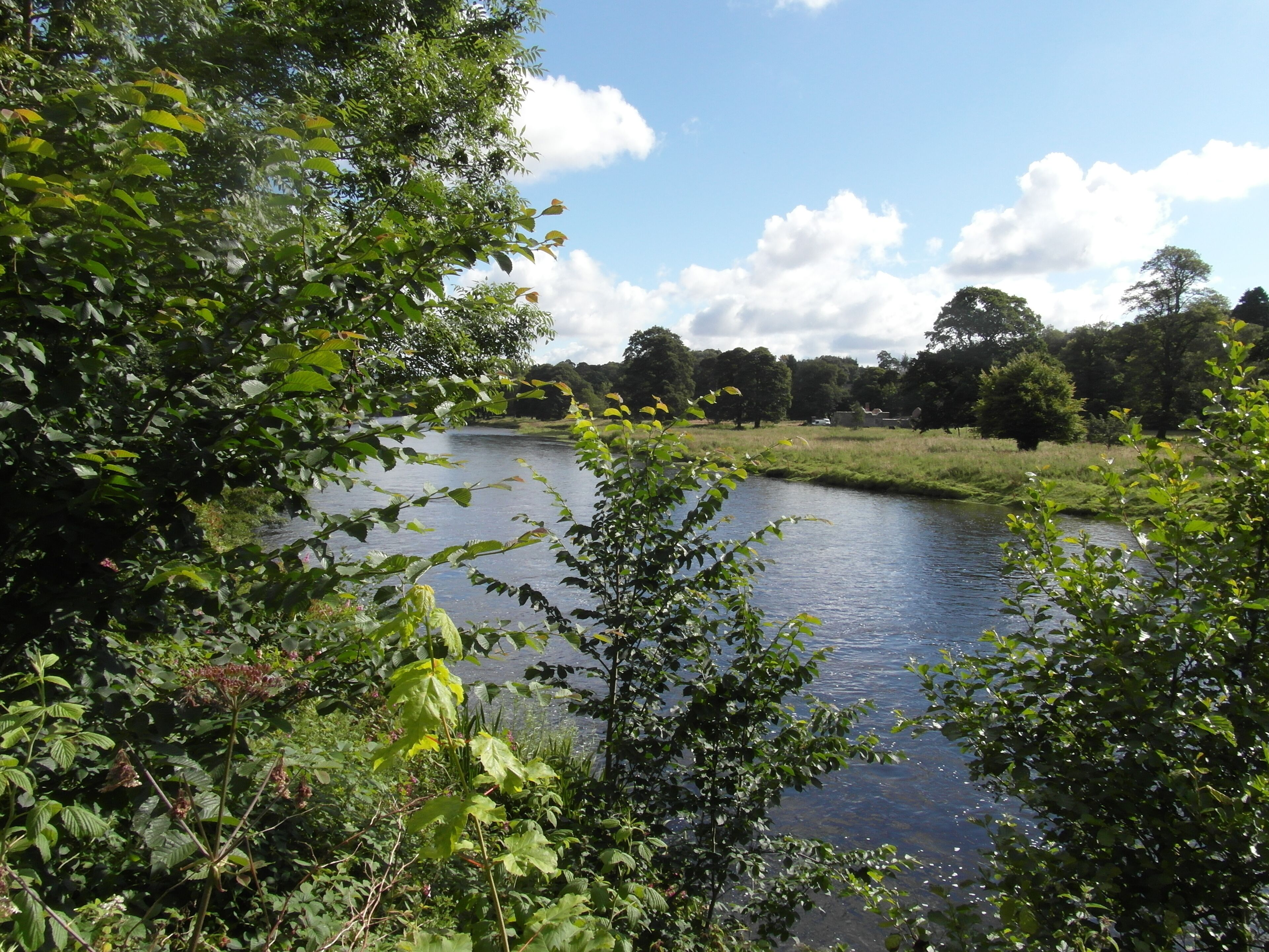 River Tweed , Boleside,Galashiels, Scotland