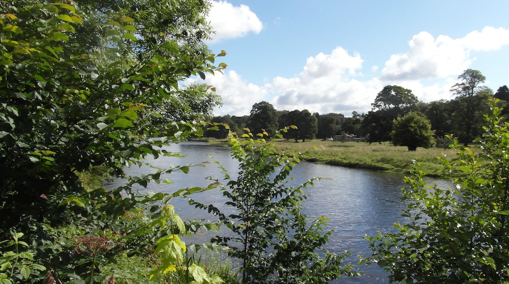 River Tweed , Boleside,Galashiels, Scotland