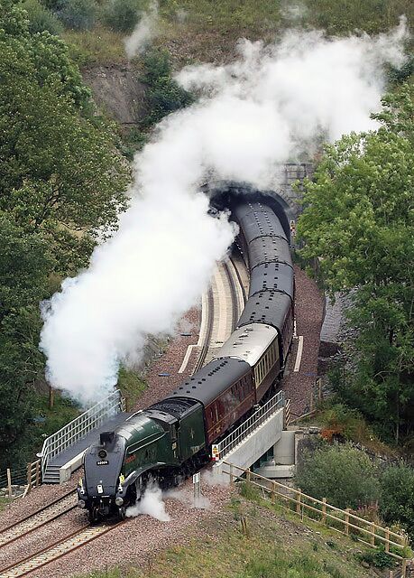 Uma locomotiva a vapor com vários vagões em uma linha férrea curva, cercada por vegetação.
