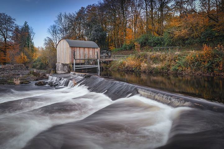 River Burle - Dulverton